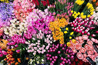 韩国模拟游戏《InZoi》新视频 比模拟人生还好玩