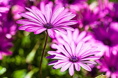 《使命召唤19》Xbox版封面称COD是PS最畅销的系列